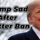 Trump Went Through Twitter Withdrawal